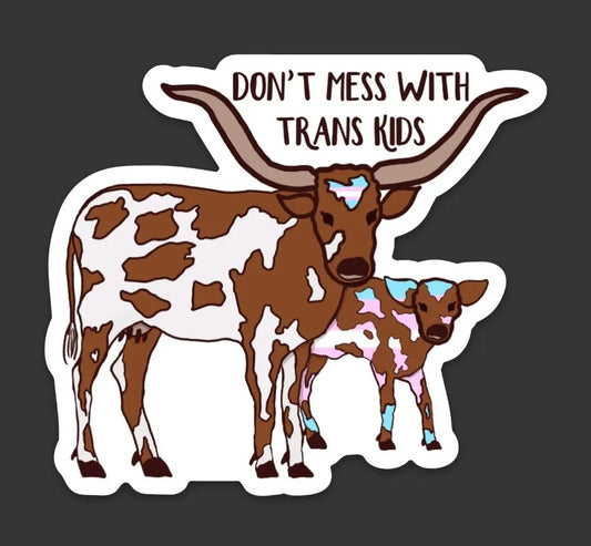 DON'T MESS WITH TRANS KIDS - sticker